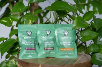 cbd treats for dogs