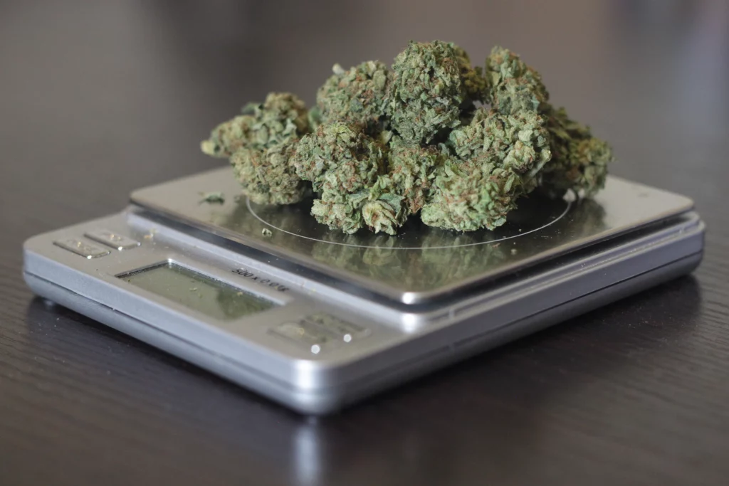 Your Visual Guide to Weed Measurements and Cannabis Weights