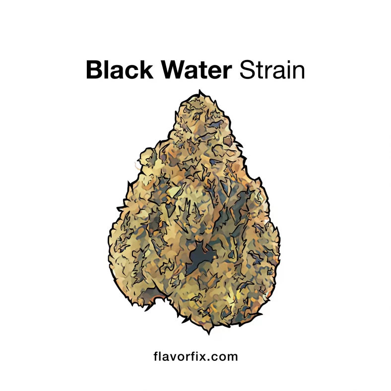 Blackwater Strain — Dive Deep into Relaxation