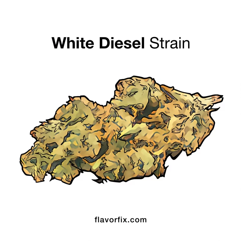 White Diesel Strain — It’s Straight Gas