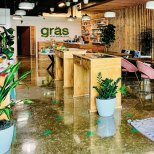 Gras CBD Collective - East Elmira
