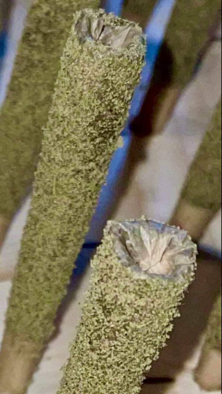 Listing slider image 2