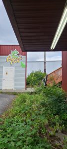 Cannabis Cove - Ketchikan