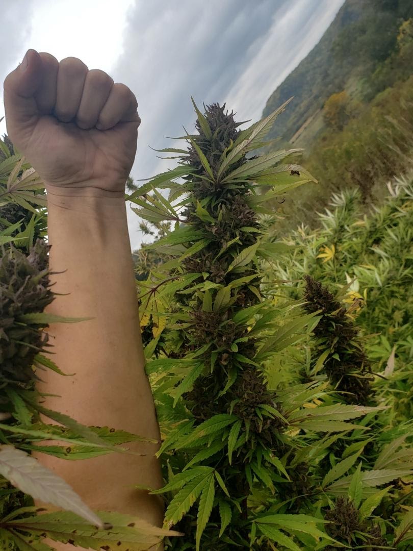 Listing slider image 2