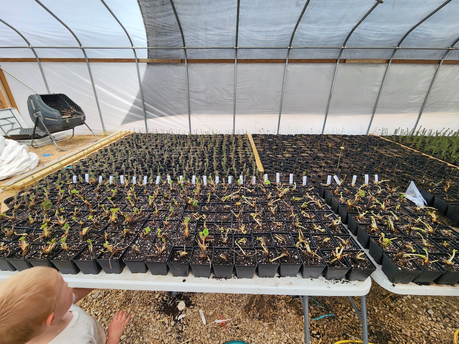 Listing slider image 2