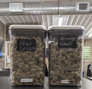 Two T's Trees Dispensary - Hooker