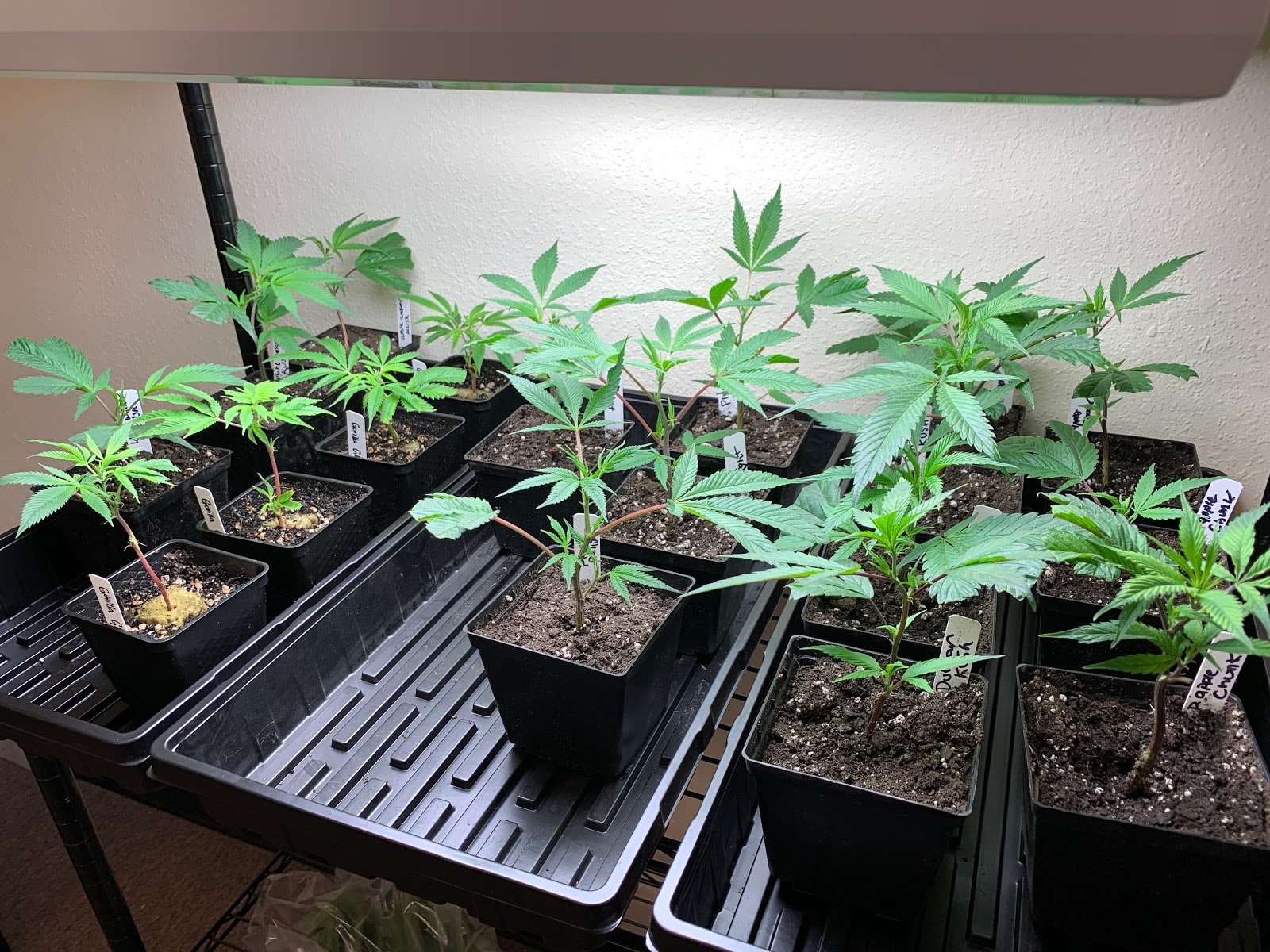 Listing slider image 2