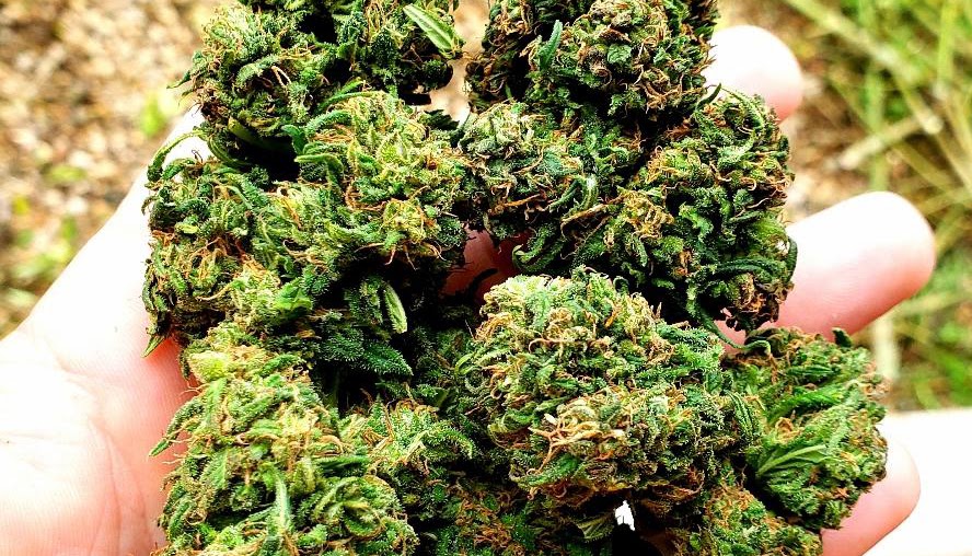 Listing slider image 2