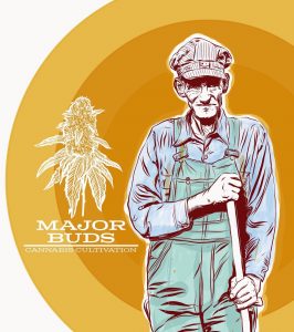 Major Meds - Crescent