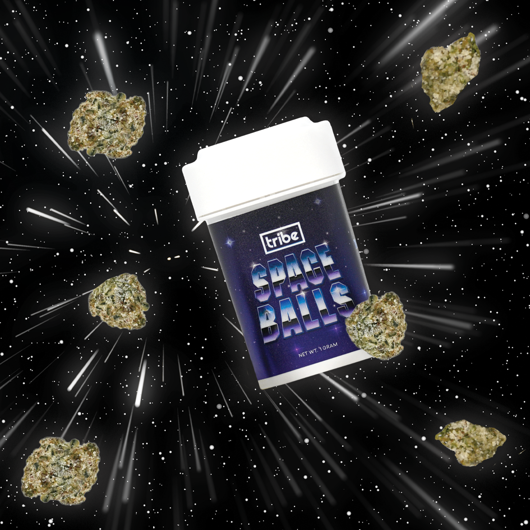 Listing slider image 2