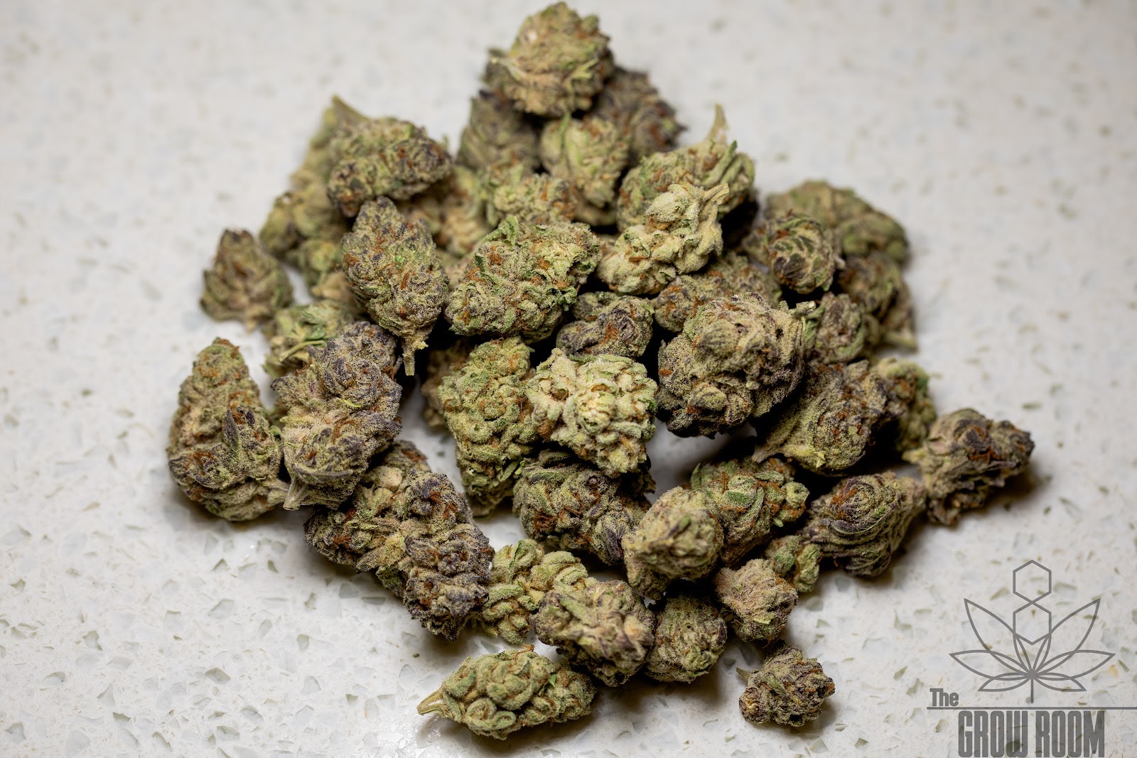 Listing slider image 2