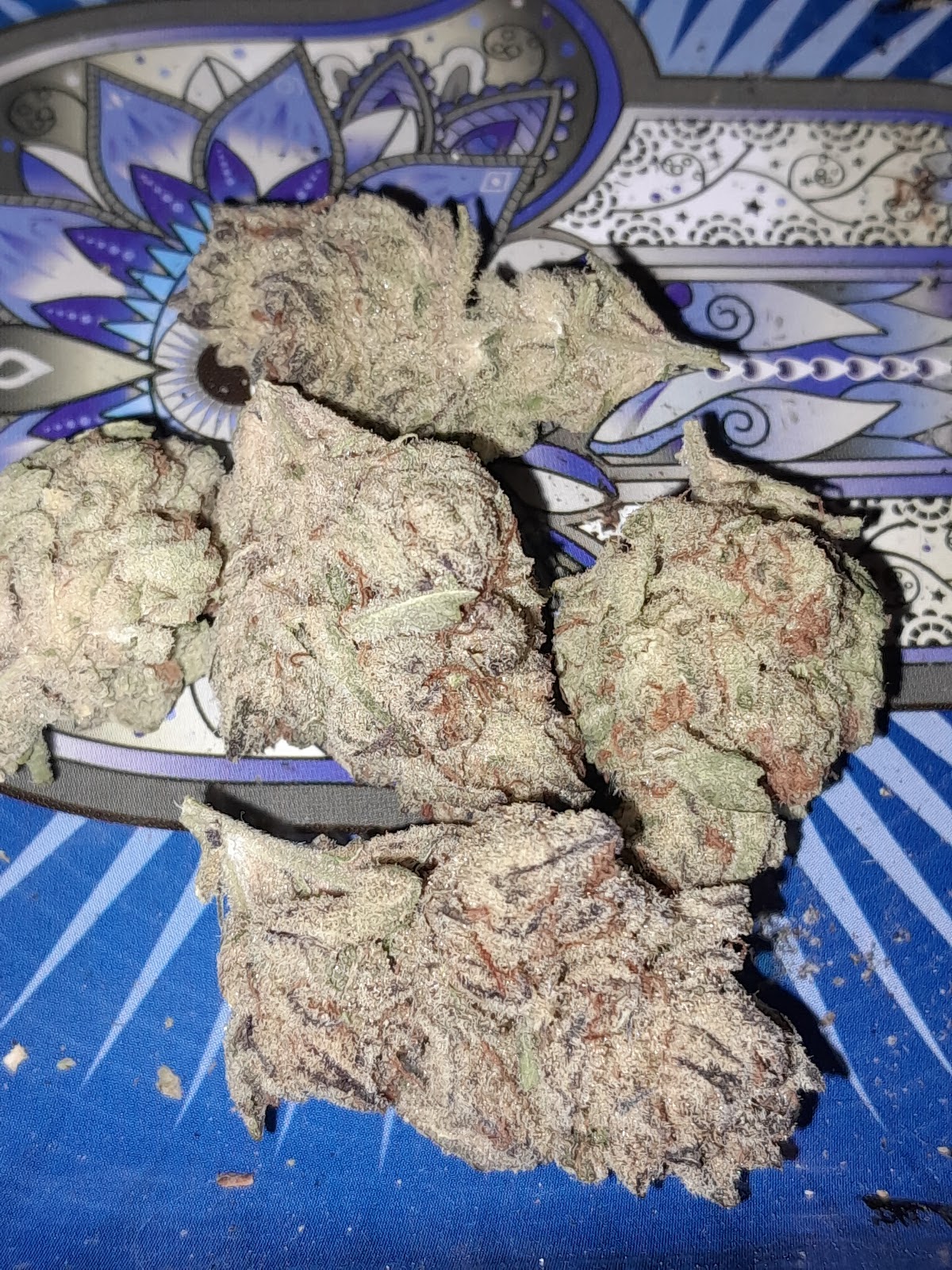 Listing slider image 2