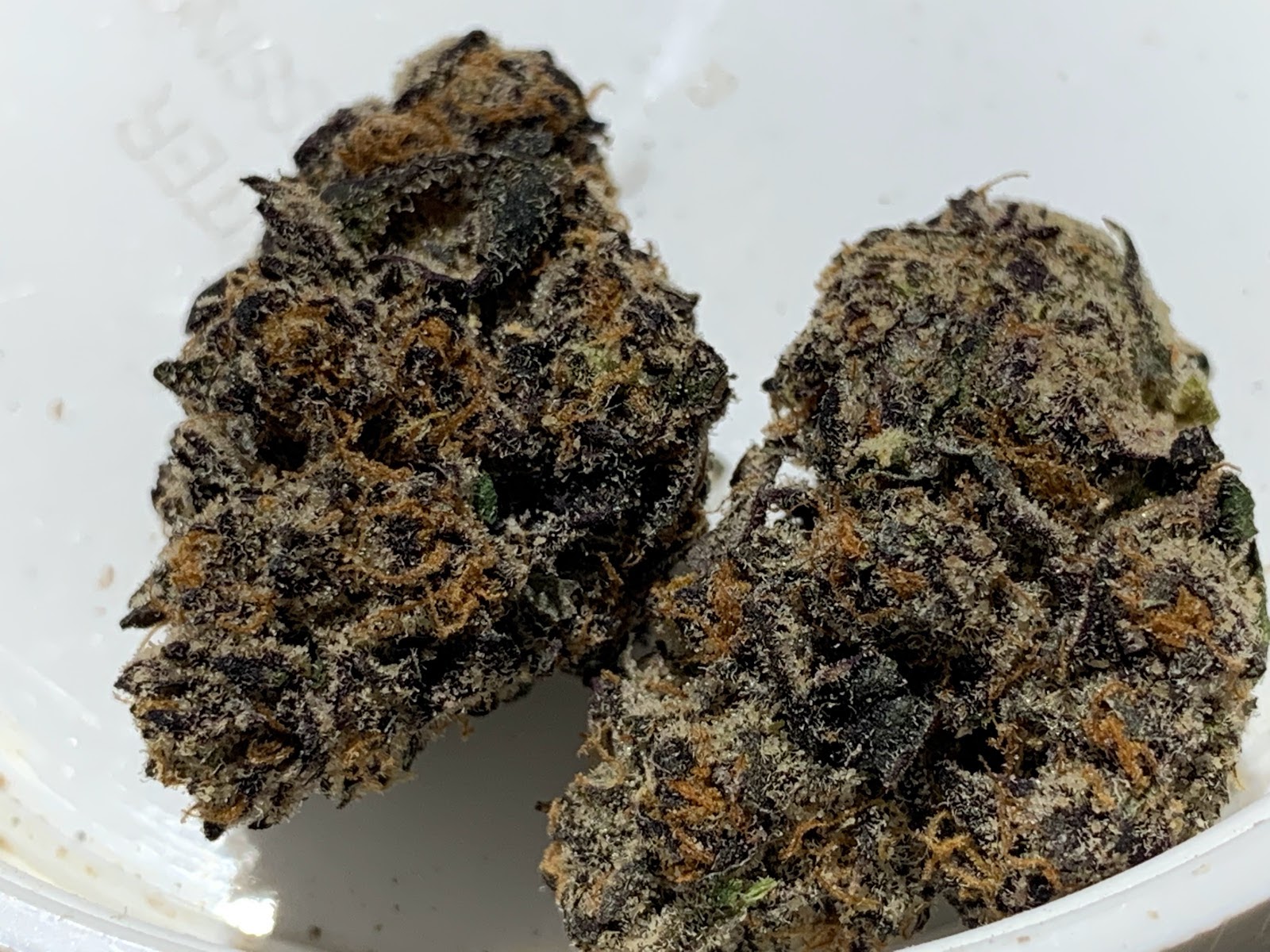 Listing slider image 2