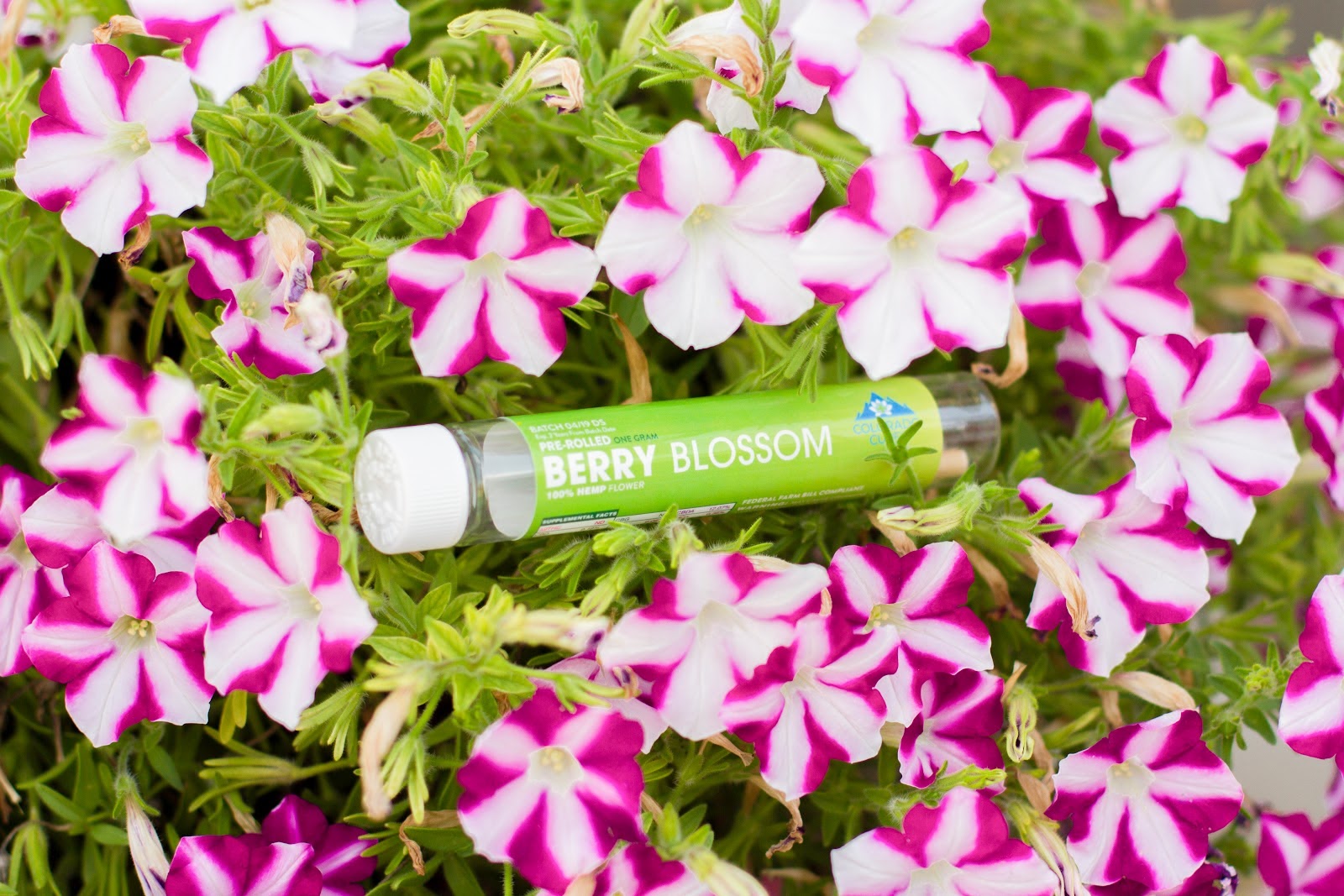 Listing slider image 2