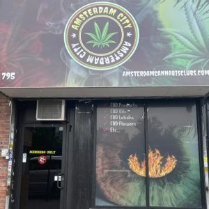 Amsterdam City - Bronx