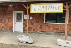 Dandelion - Haines