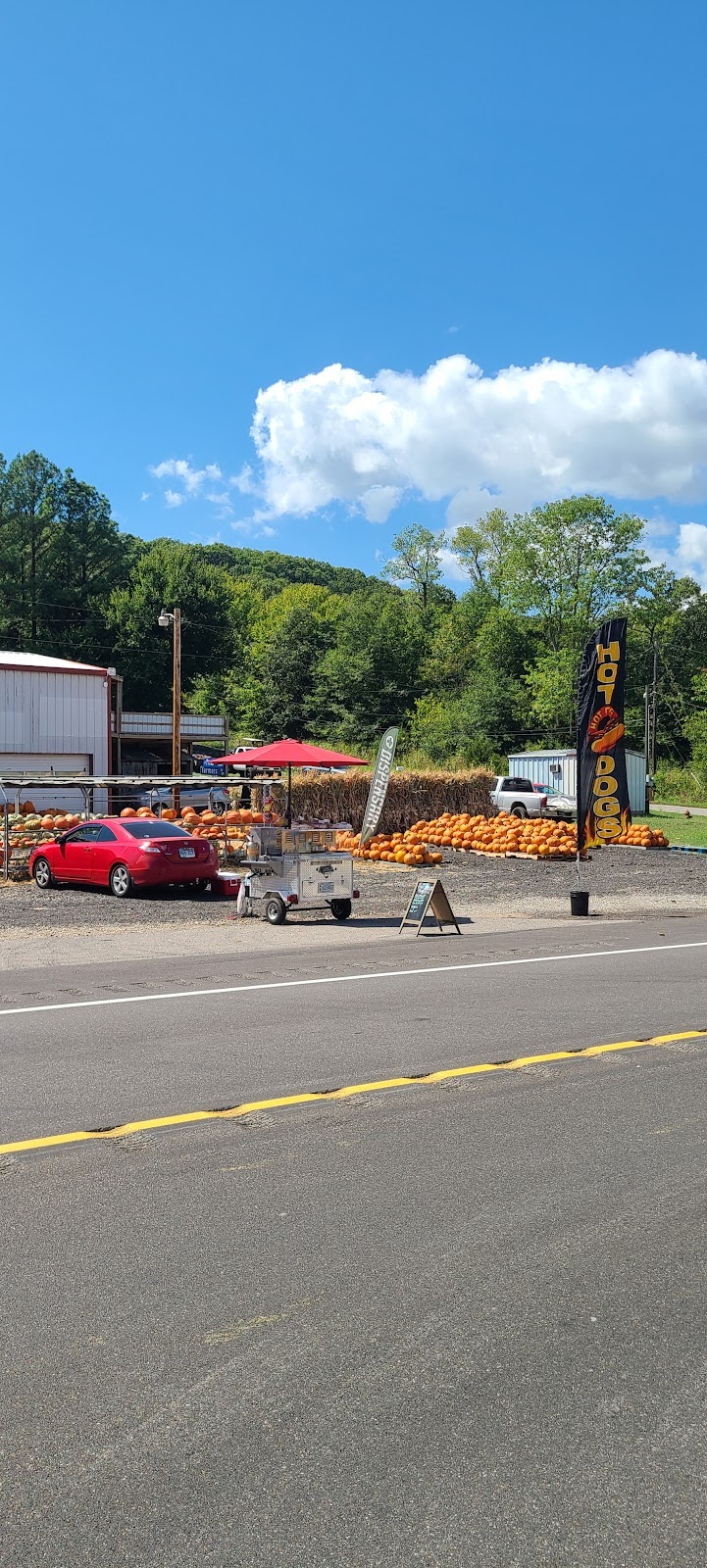 Listing slider image 2