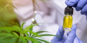 Texas Cannabis Clinic: Medical Marijuana Doctor - Houston