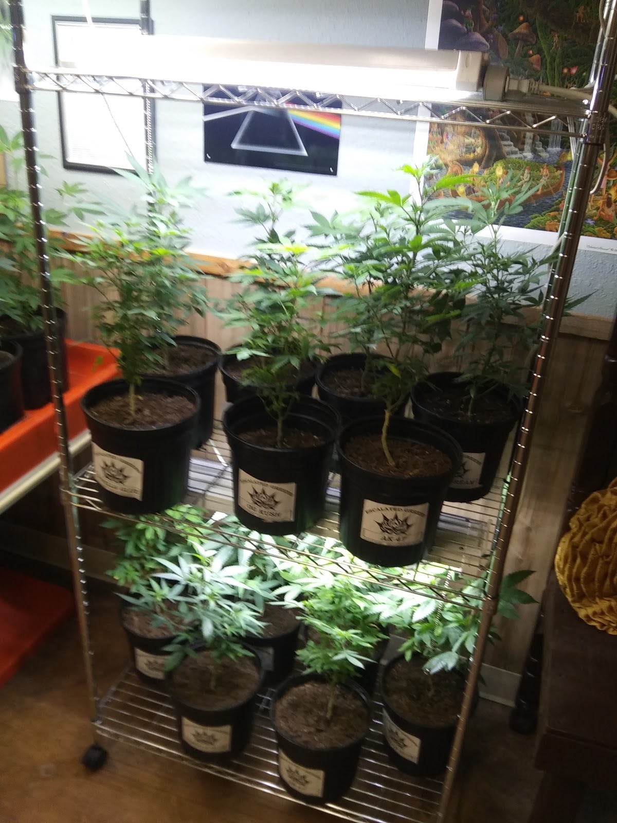 Listing slider image 2