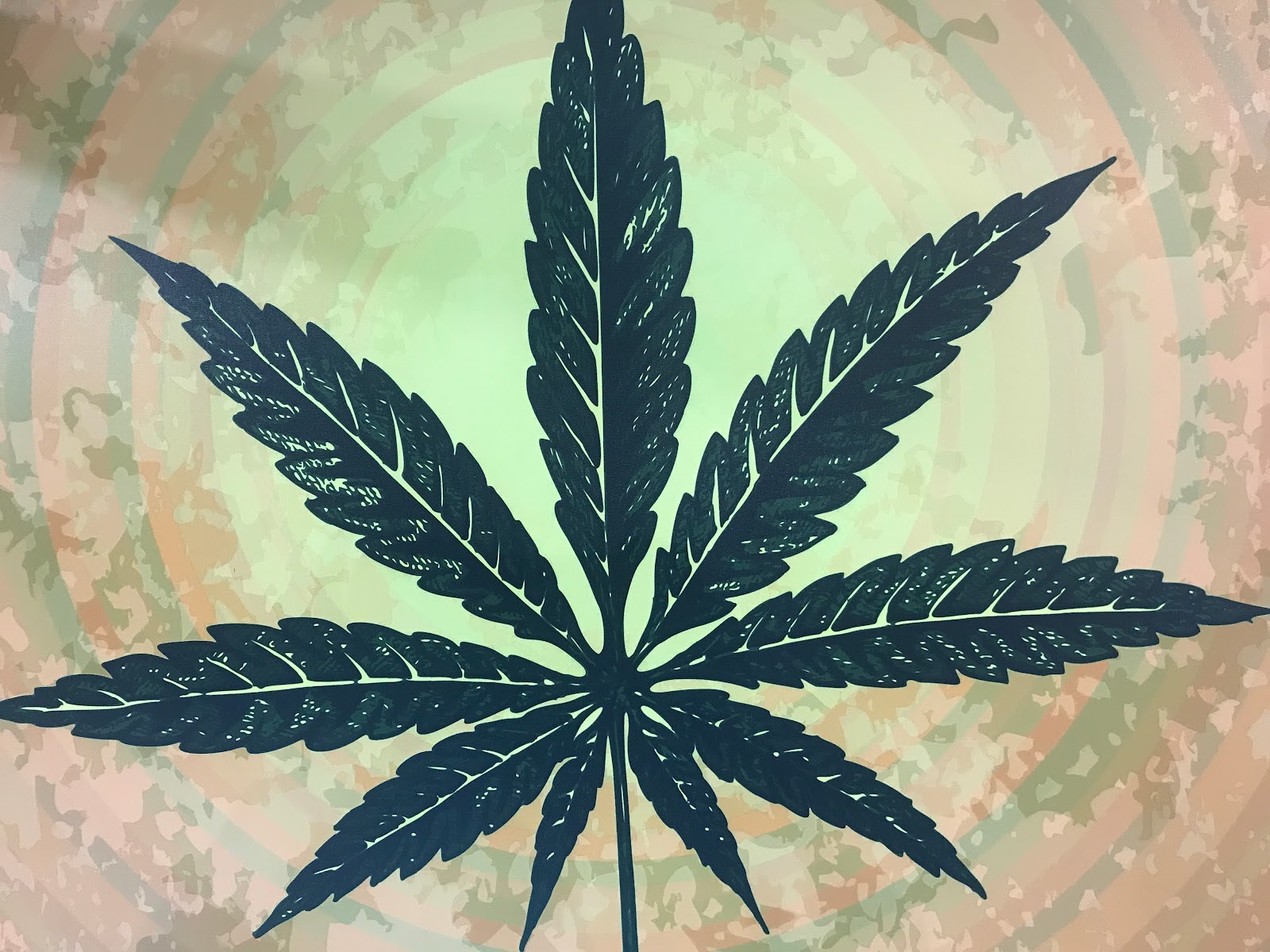 Listing slider image 2