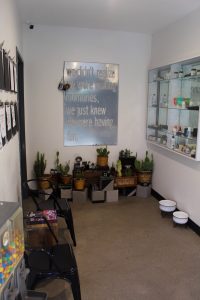 JARS Cannabis - Bullhead