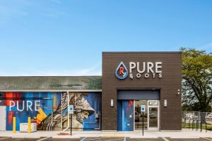 Pure Roots Lansing - Lansing