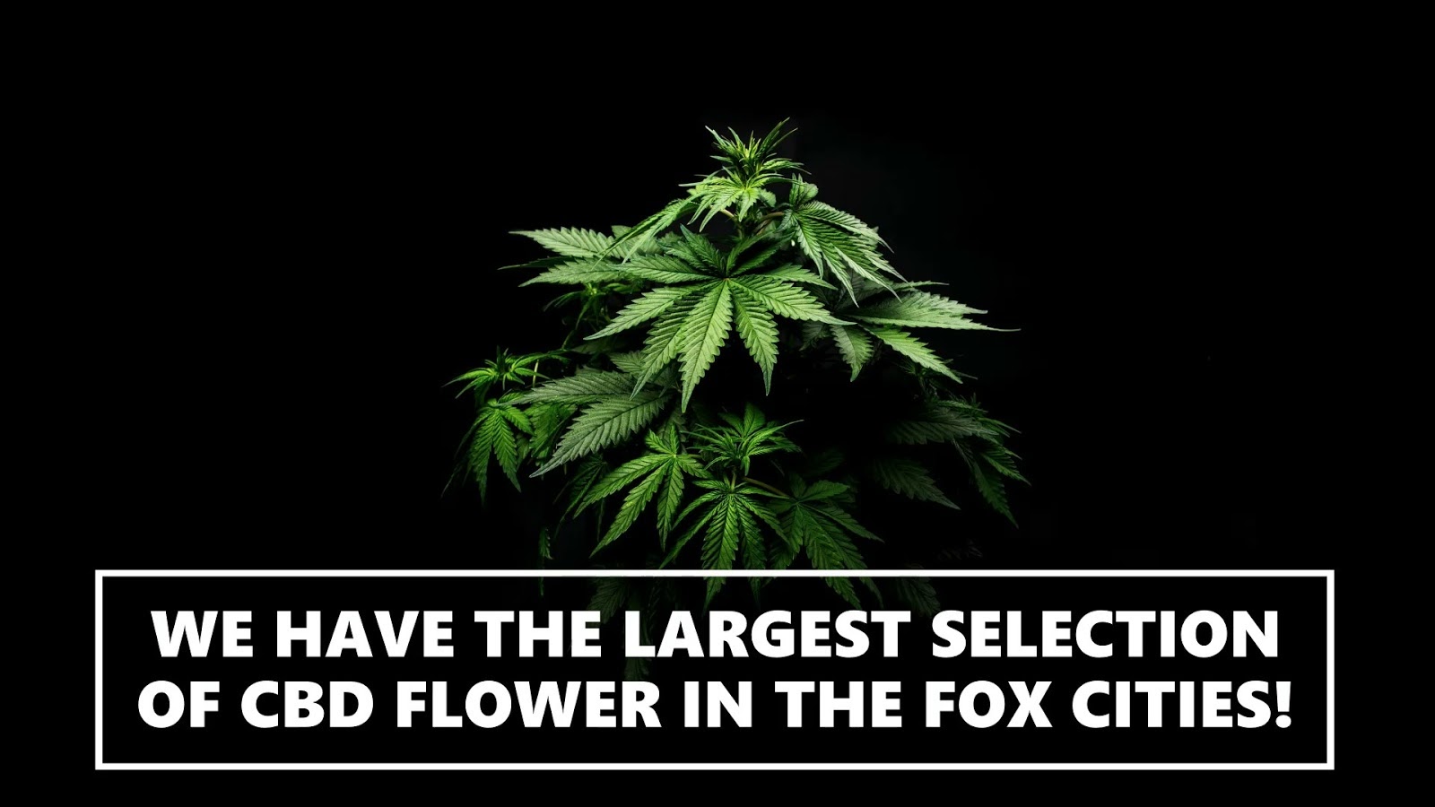 Listing slider image 2