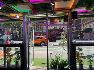 Cannabis Culture - New York