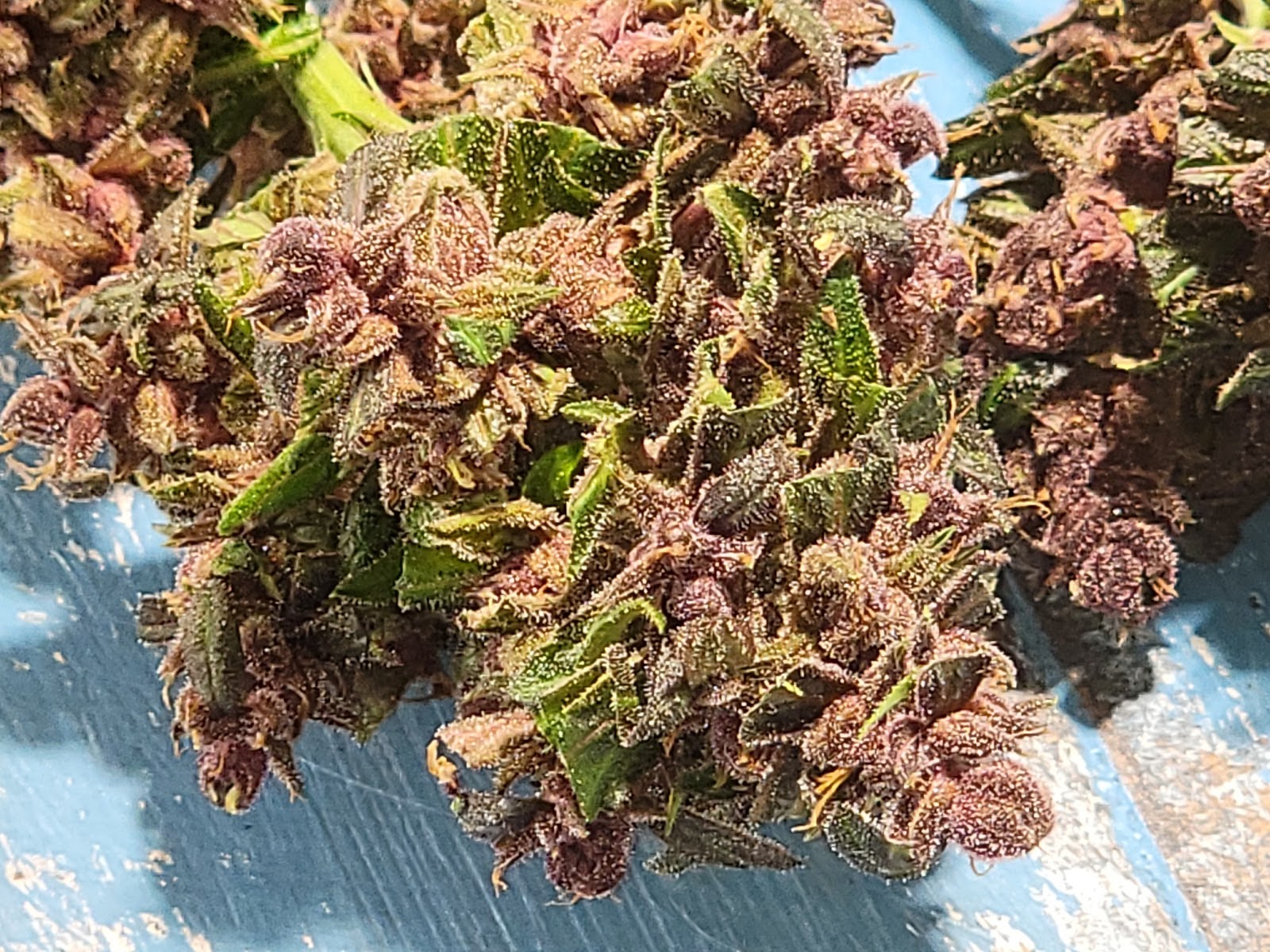 Listing slider image 2