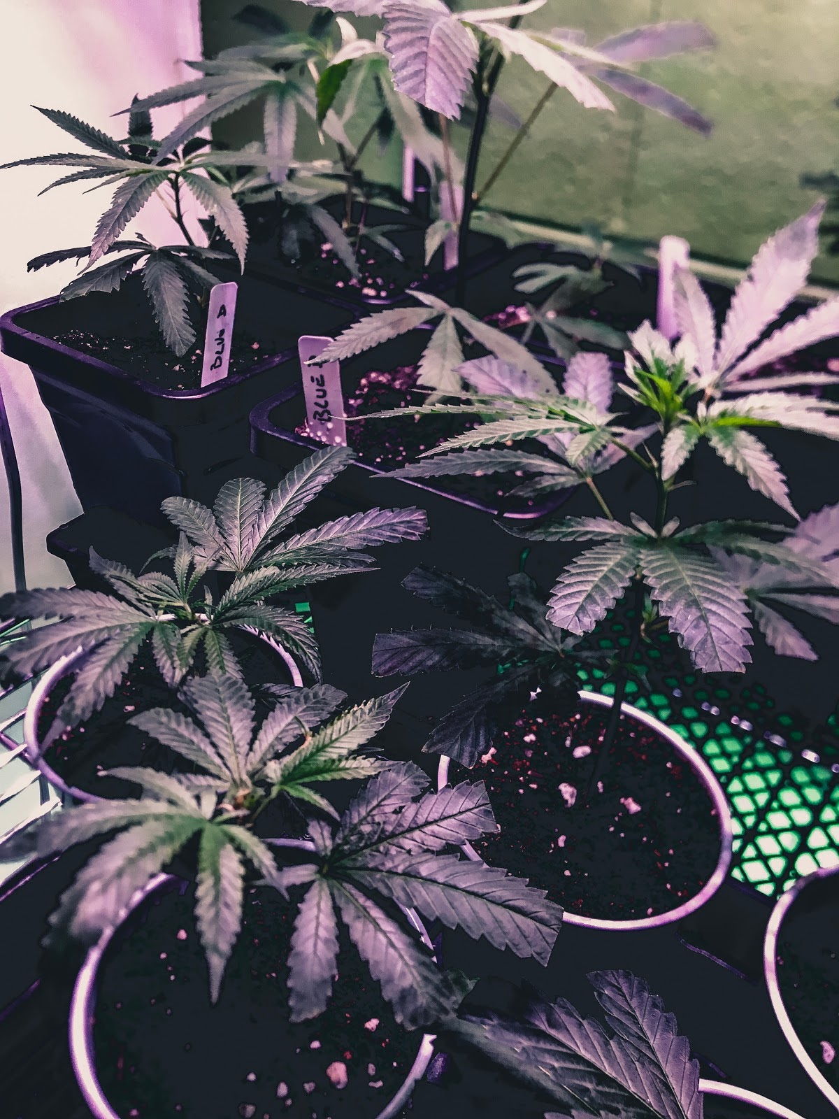 Listing slider image 2