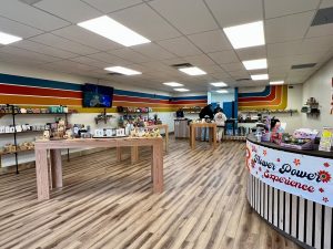 The Flower Power Experience - Toms River