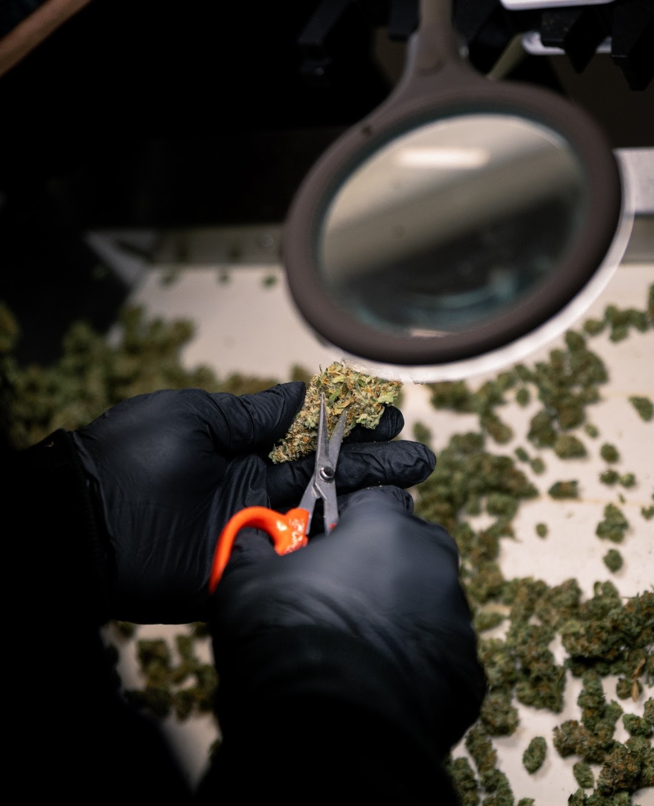 Listing slider image 2