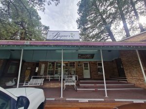 Bryan's Green Care - Ruidoso