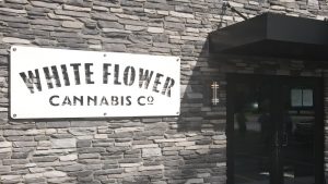 White Flower Cannabis Co - Paw Paw