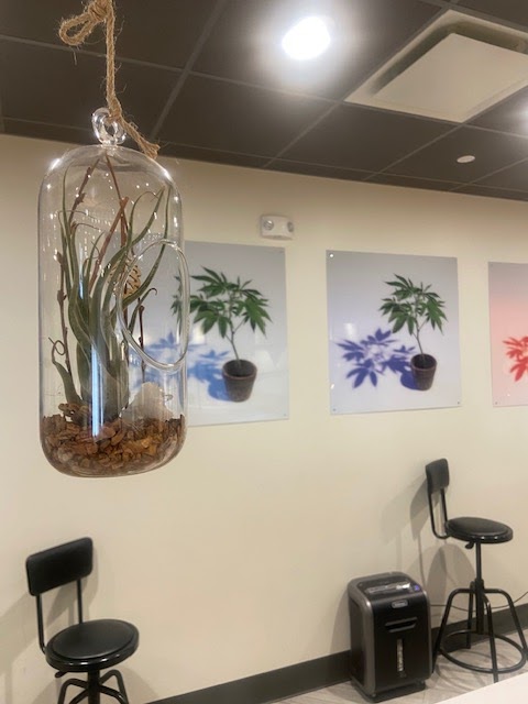 Listing slider image 2