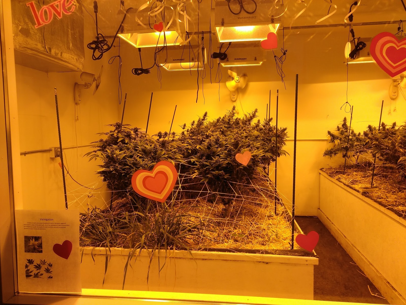 Listing slider image 2