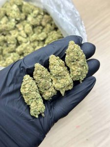 High Puff Cannabis Dispo - Brooklyn