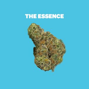 MUV Dispensary Port Charlotte