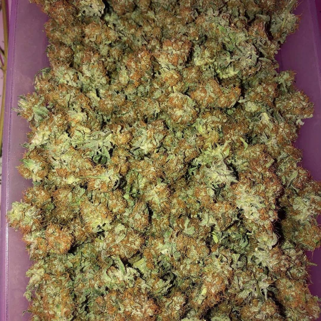 Listing slider image 2