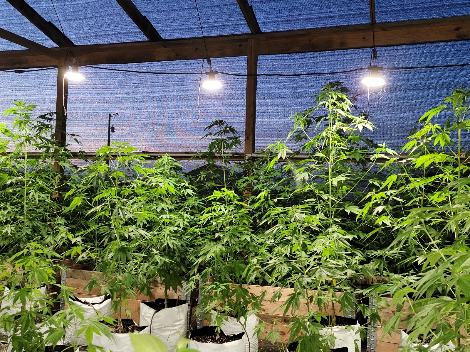 Listing slider image 2