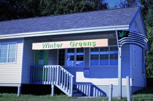 Winter Greens - Haines