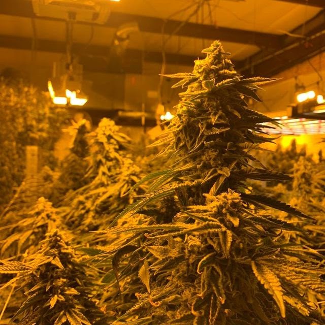 Listing slider image 2