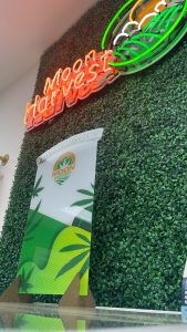 The Green Room Hemp Dispensary - Dallas