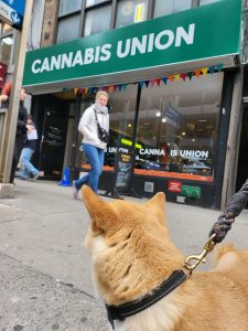 Cannabis Union