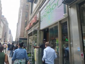 Indoor Cannabis - New York, 7th Ave
