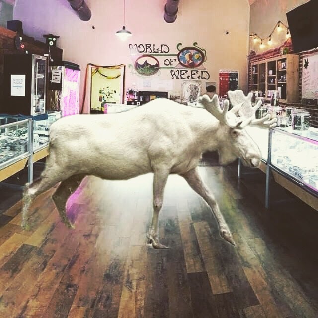 Listing slider image 2