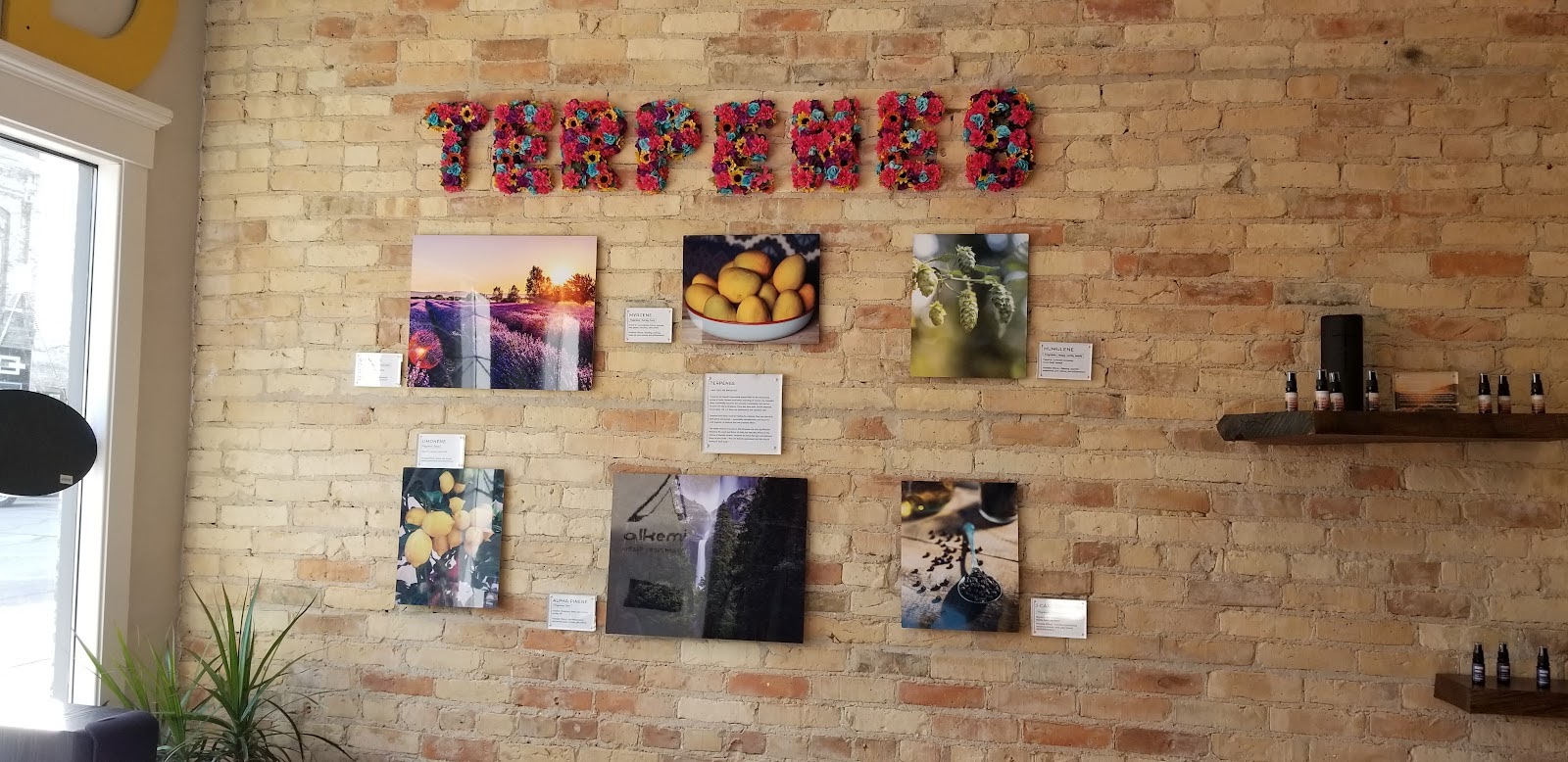 Listing slider image 2