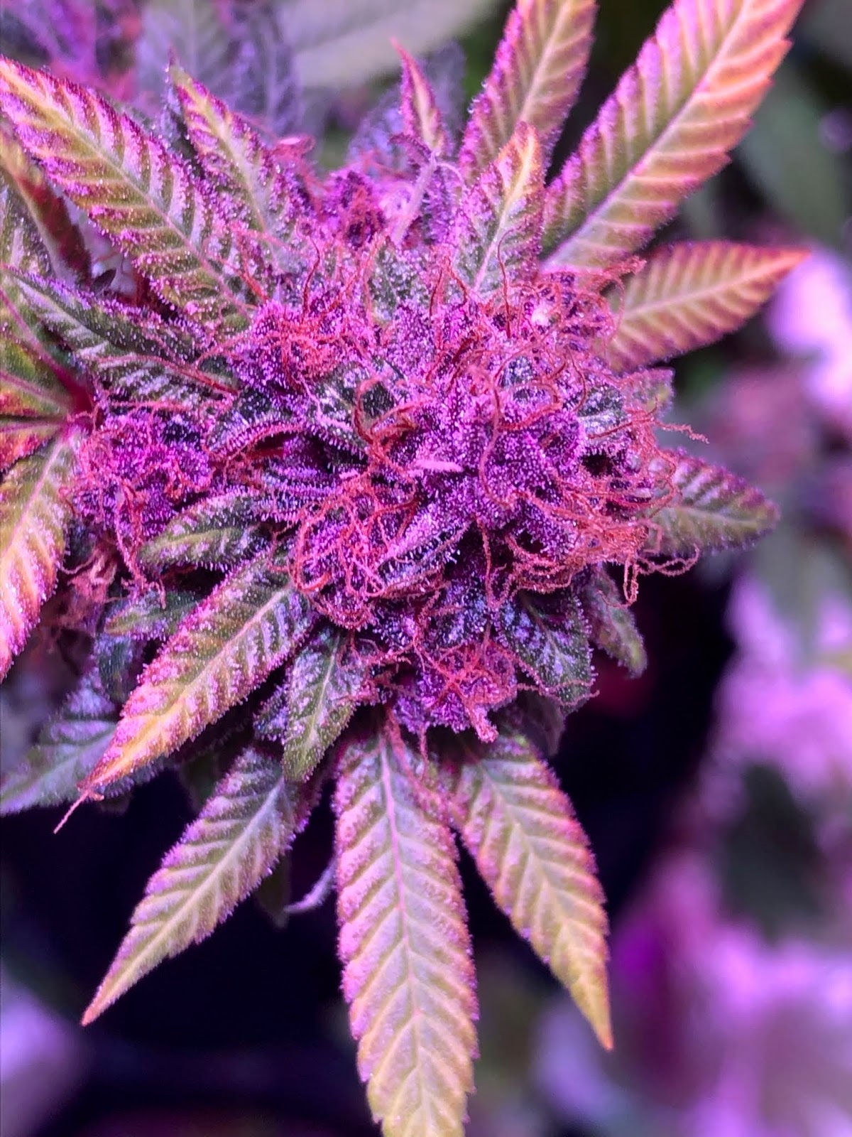 Listing slider image 2