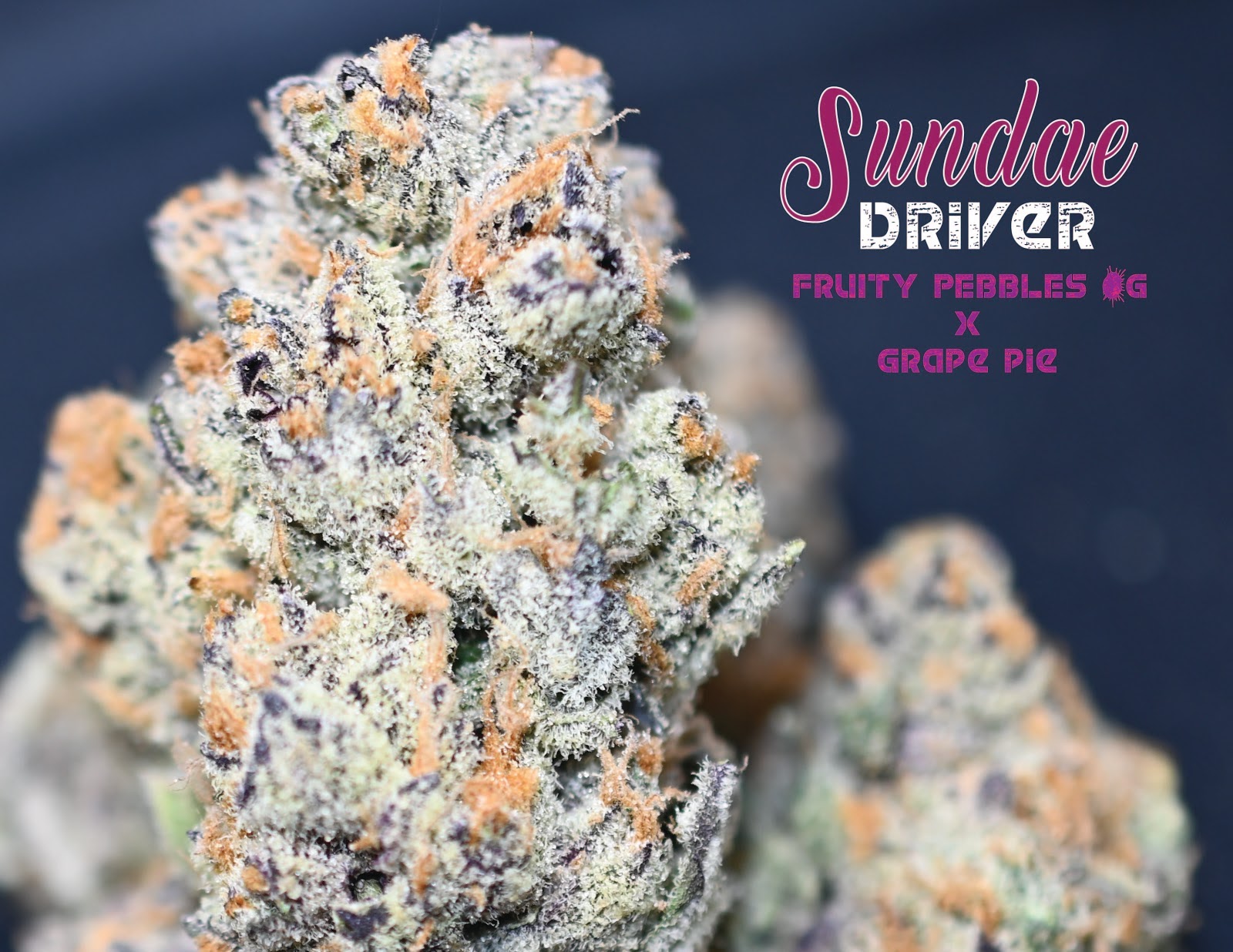 Listing slider image 2