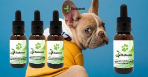 Bluebonnet CBD - San Antonio